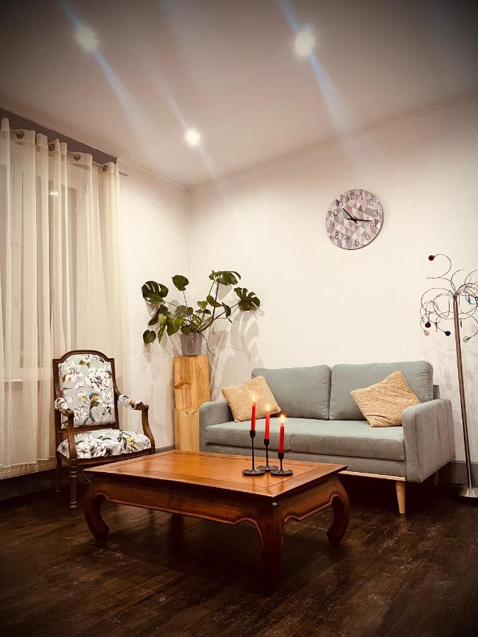Homestay Petit A Louer Saint-Die-des-Vosges